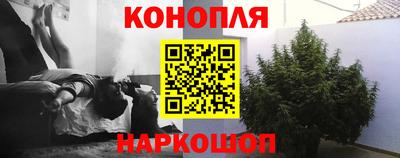 сатива Ликино-Дулёво