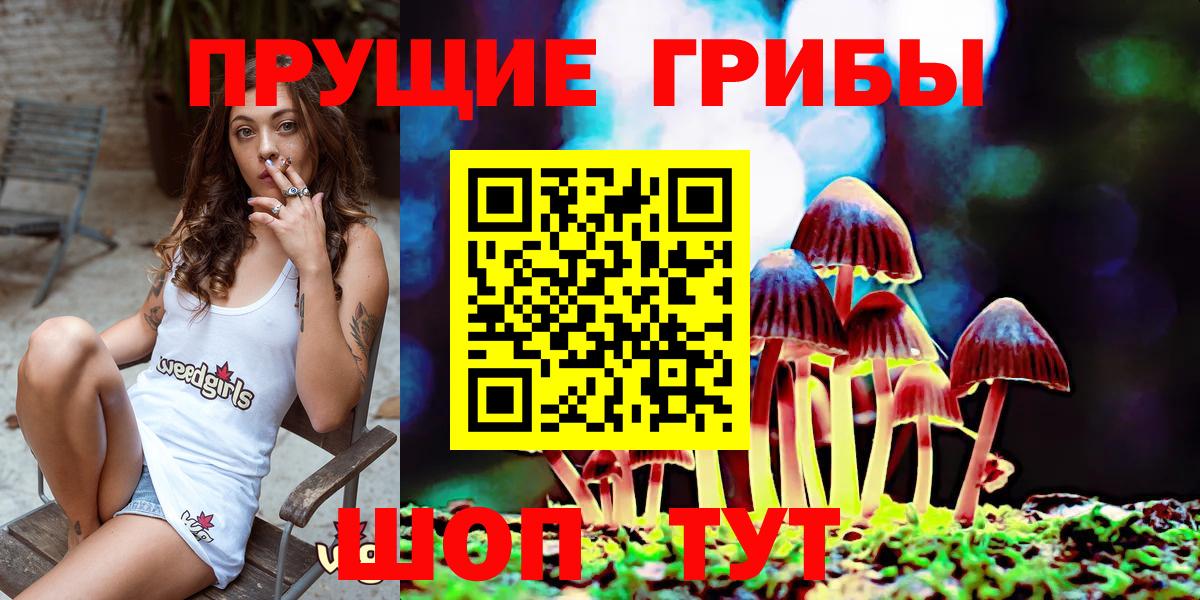 Псилоцибиновые грибы GOLDEN TEACHER Ипатово